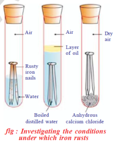 Conduct an experiment to show that air and water are necessary for ...