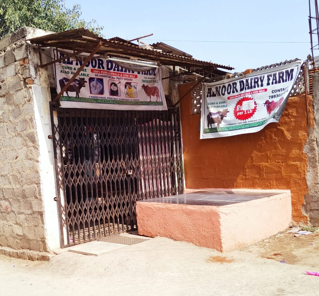 Al Noor Dairy Farm in Naseeb Nagar Bajrai Online Solutions