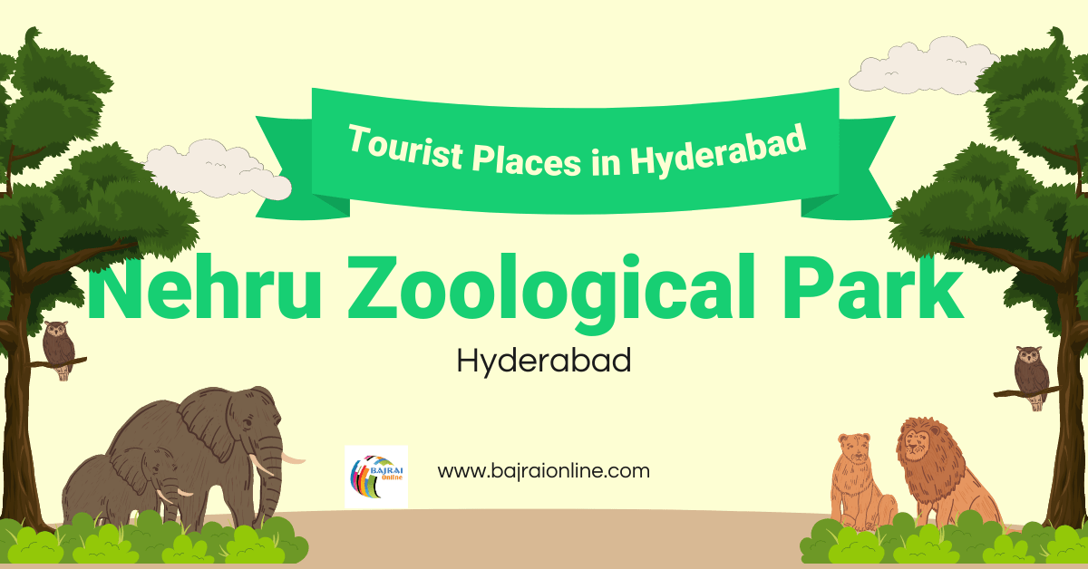 Nehru Zoological Park Hyderabad